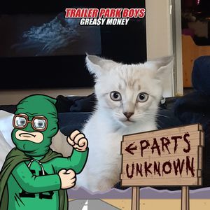 Meet your Posher, Dylan